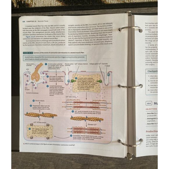 Anatomy & Physiology Vol 1 Gerard J Tortora, Bryan H Derrickson 2021 - Picture 5 of 5